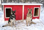 Josie and Rocky - Alberta